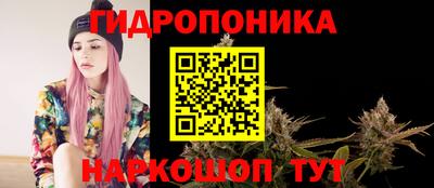 стаф Ставрополь