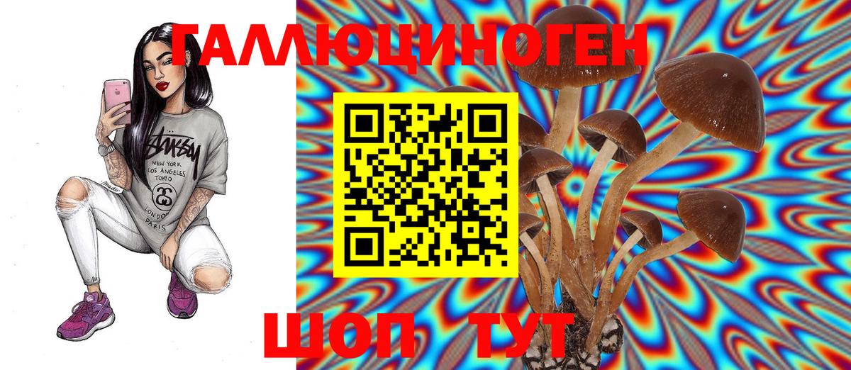Псков  Псилоцибиновые грибы GOLDEN TEACHER  Вход с VPN 