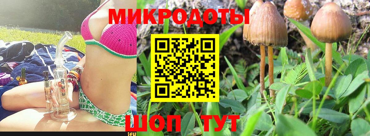 Галлюциногенные грибы GOLDEN TEACHER Псков